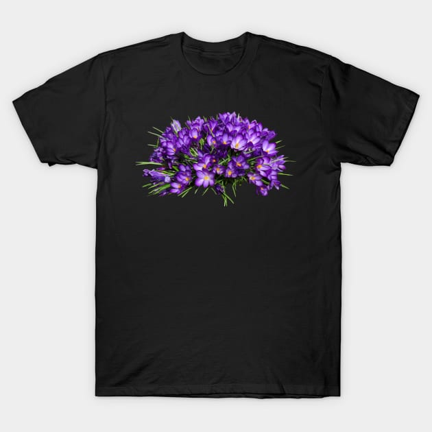 Purple Crocus Flower Spring Summer Florist Nature Lover Gift T-Shirt by twizzler3b